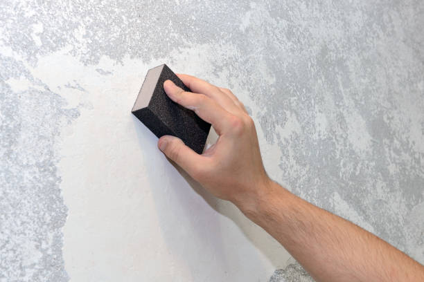 Best HVAC Mold Inspection and Cleaning  in Independence, WI
