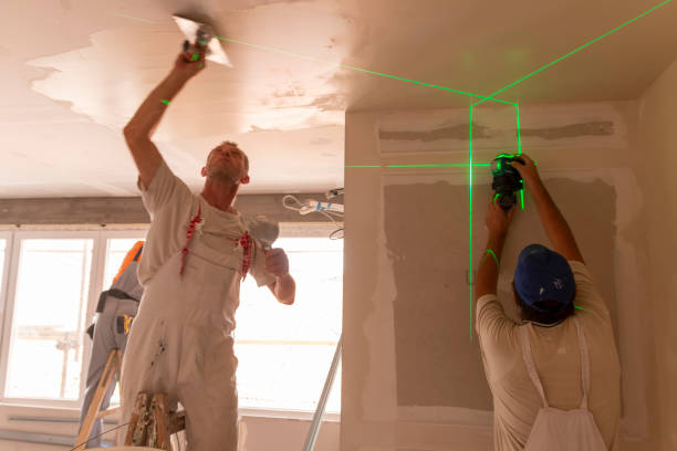 Best Mold Documentation for Insurance Claims  in Independence, WI