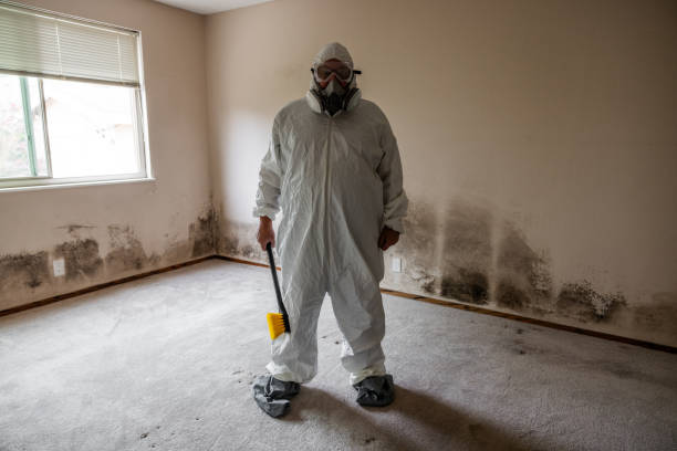 Best Forensic Mold Investigation  in Independence, WI